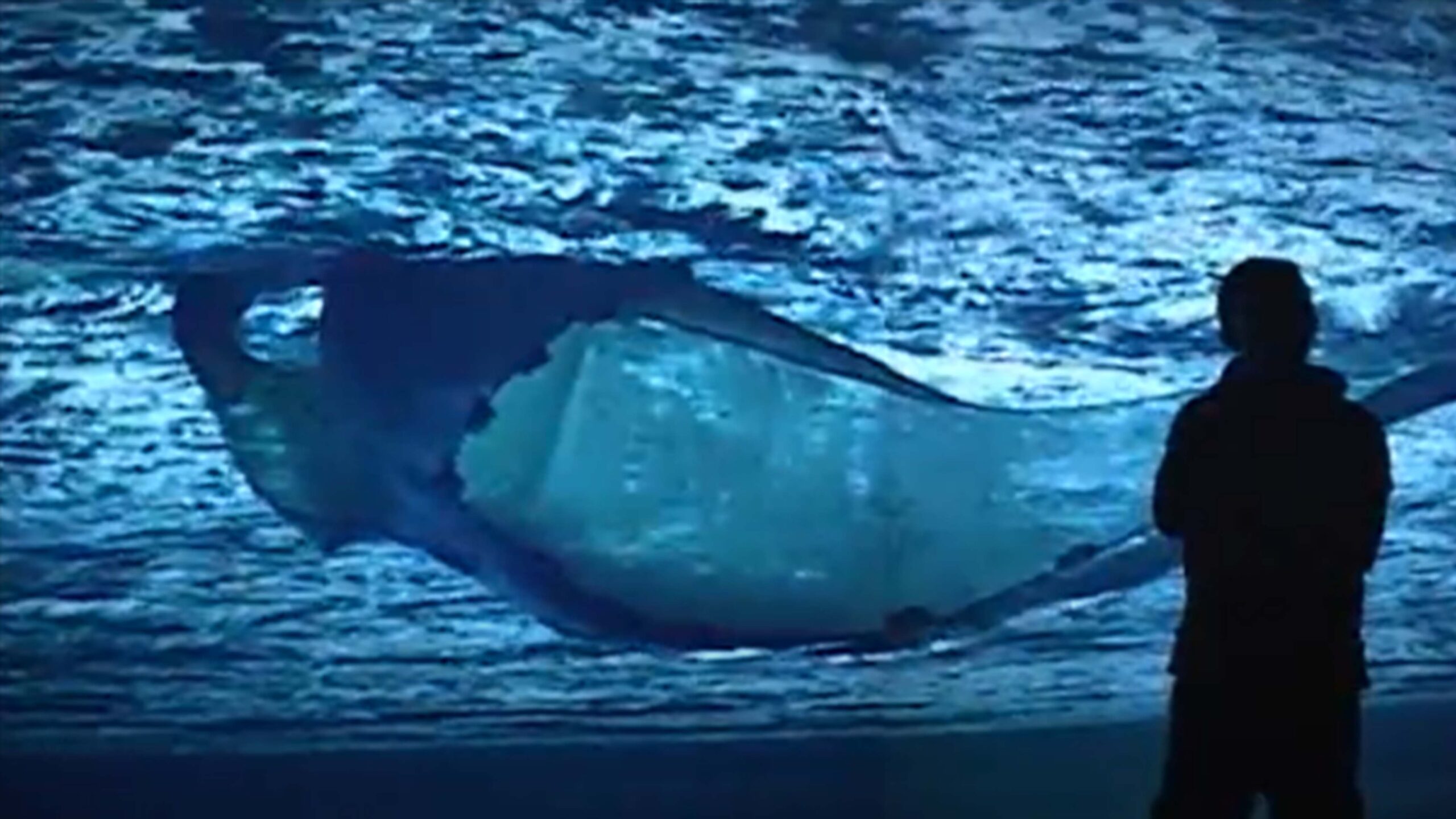 在記憶中2 在記憶中2