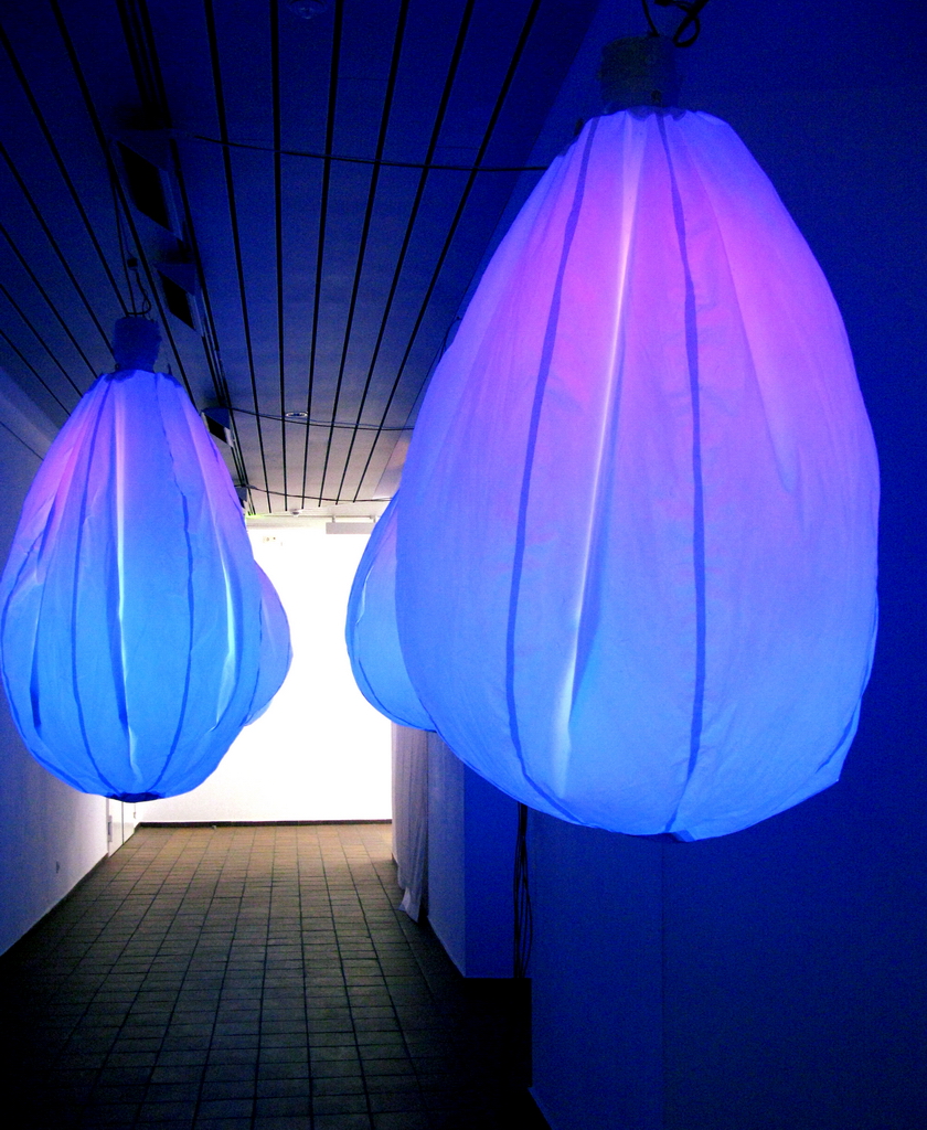 Starry, Starry Night 03