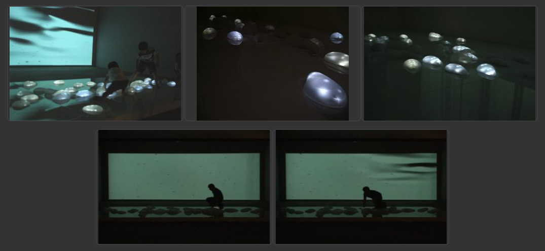 2007浮體計畫No.4光流_V1