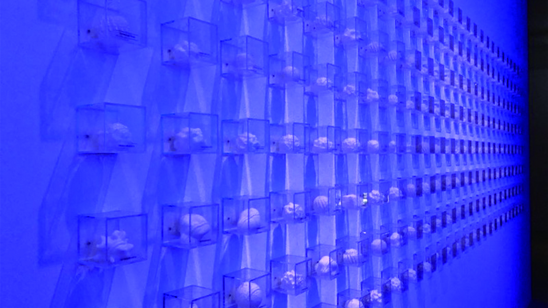 a-125_聲物製造工廠_王聖傑_02