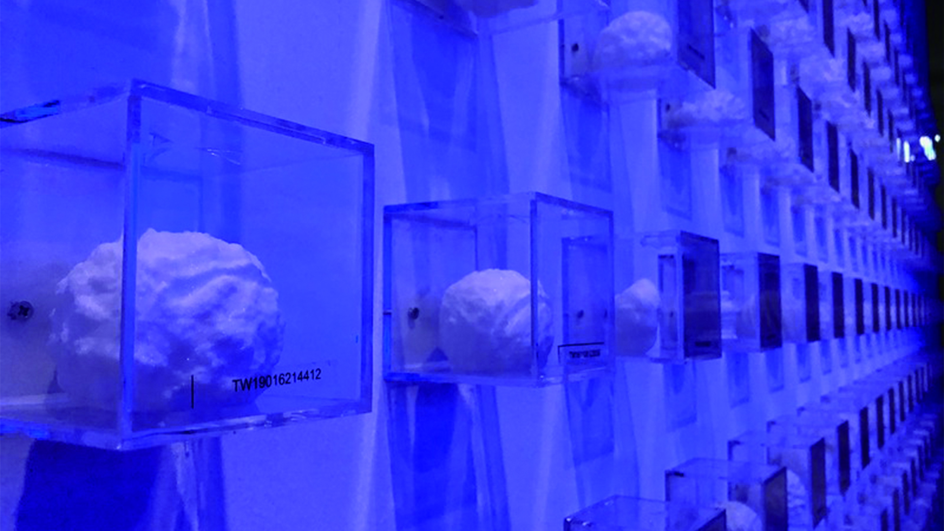 a-125_聲物製造工廠_王聖傑_03