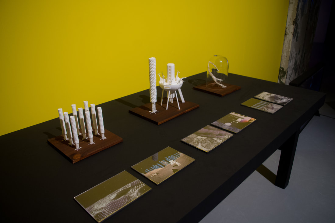 a-116_顧廣毅_千年人參計畫_04_Millennium Ginseng Project – Moon Ginseng