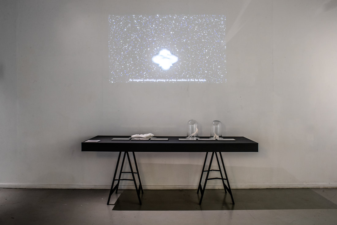 a-116_顧廣毅_千年人參計畫_06_Millennium Ginseng Project – Time Machine Farm