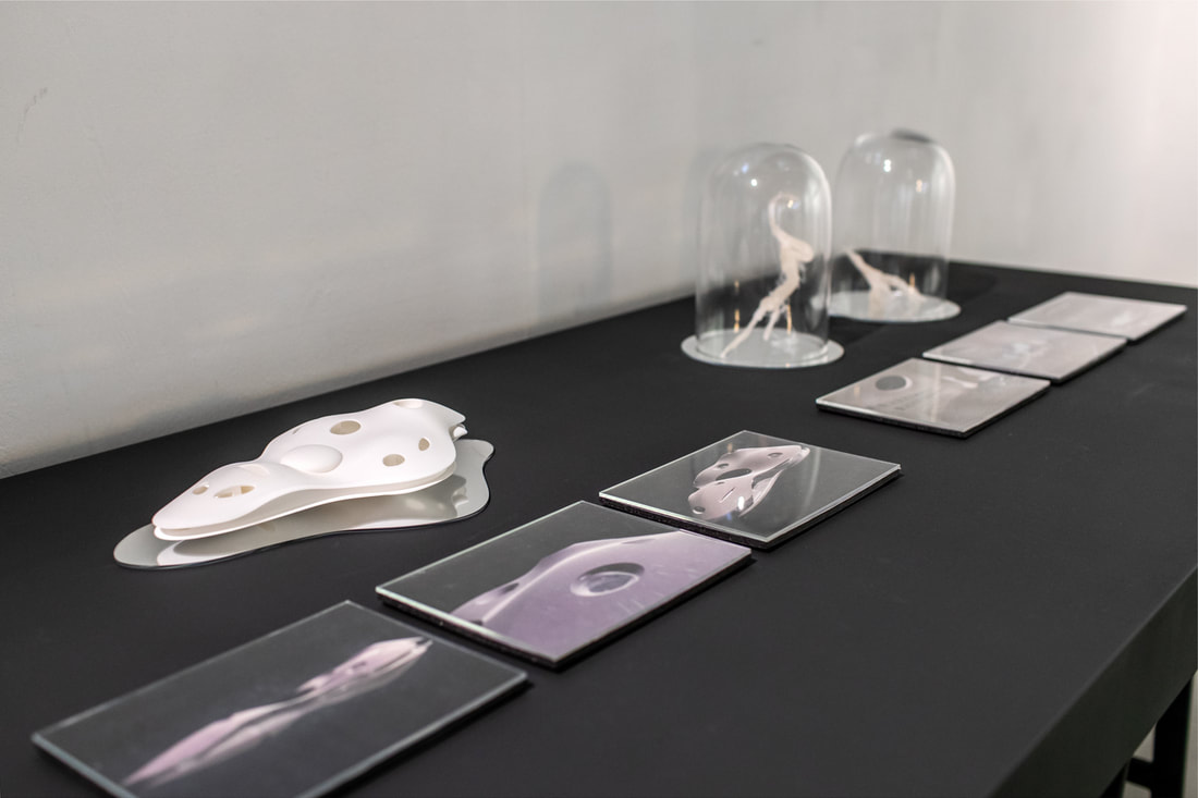 a-116_顧廣毅_千年人參計畫_07_Millennium Ginseng Project – Time Machine Farm