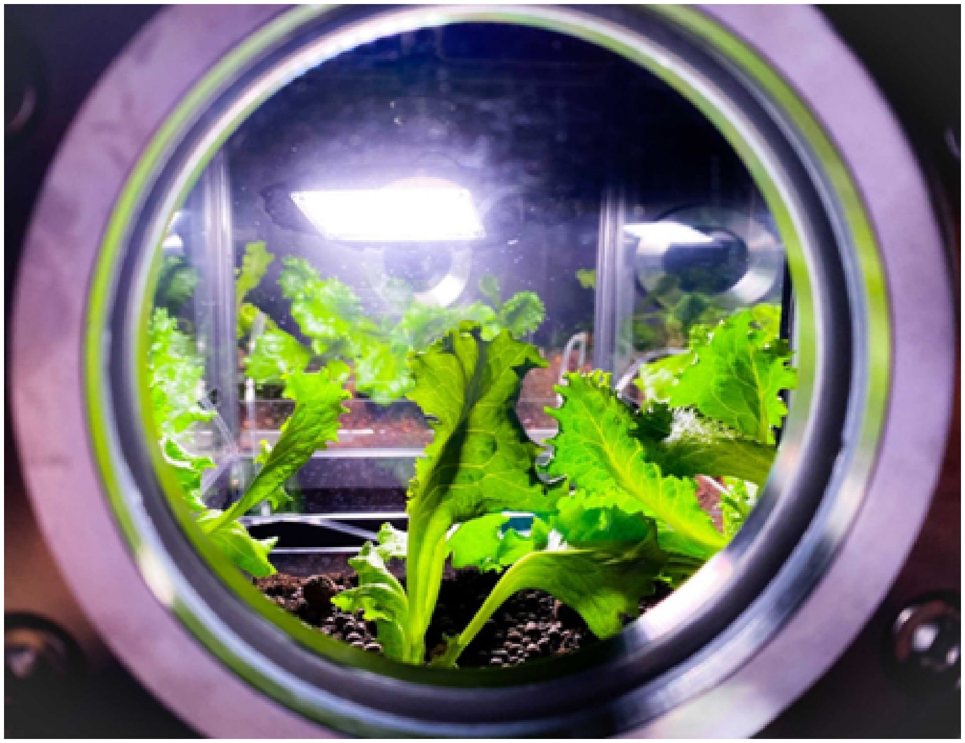 b-144_合生體計畫_江俊毅藝術家_03