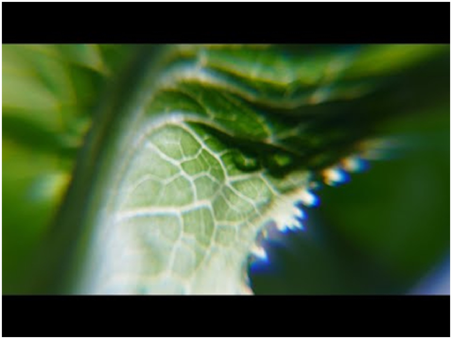 b-144_合生體計畫_江俊毅藝術家_06