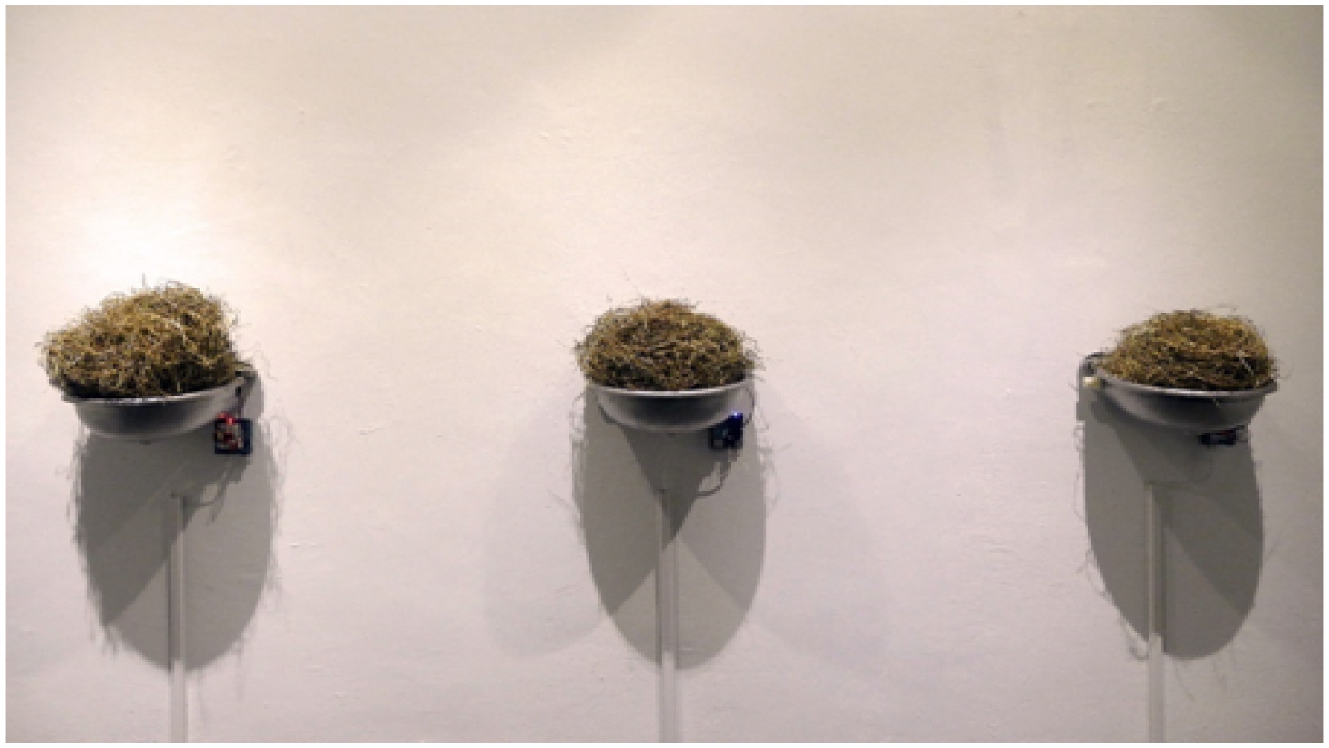 b-144_經濟動物_江俊毅藝術家_01