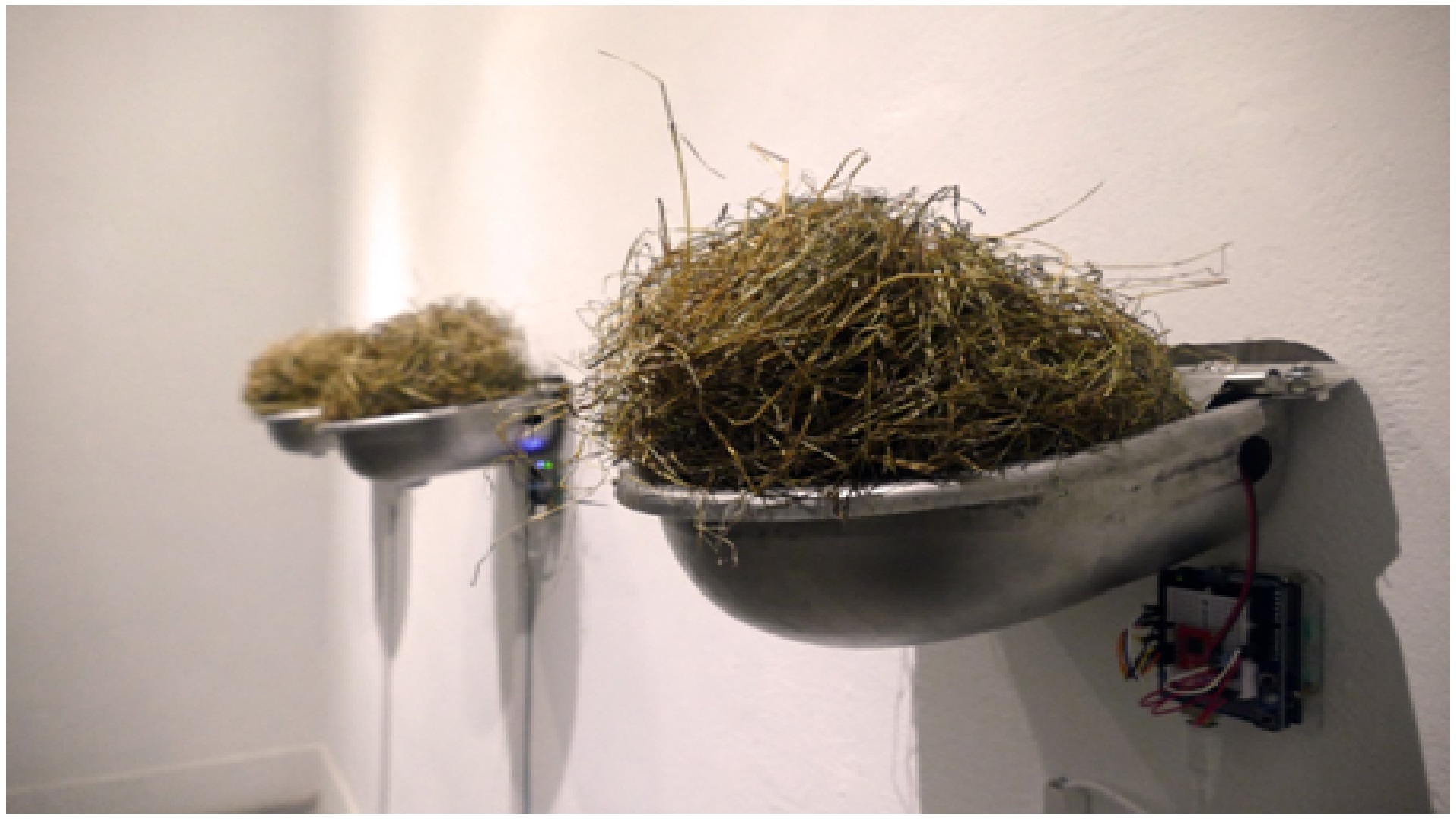 b-144_經濟動物_江俊毅藝術家_02