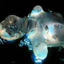 b-49_林俊廷_《水•變態》_1997