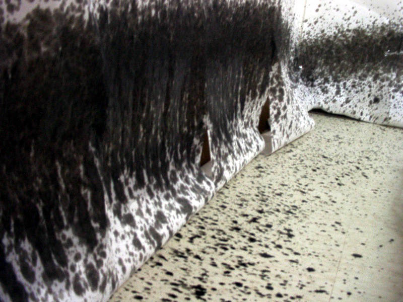 a-51_郭奕臣_隱性的欲動_2002-02