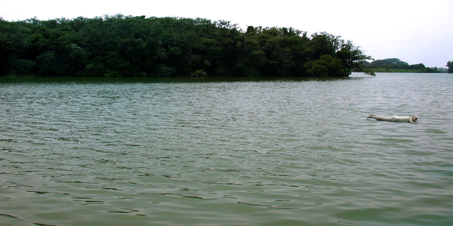 c-28_郭慧禪_漂浮_2003-02