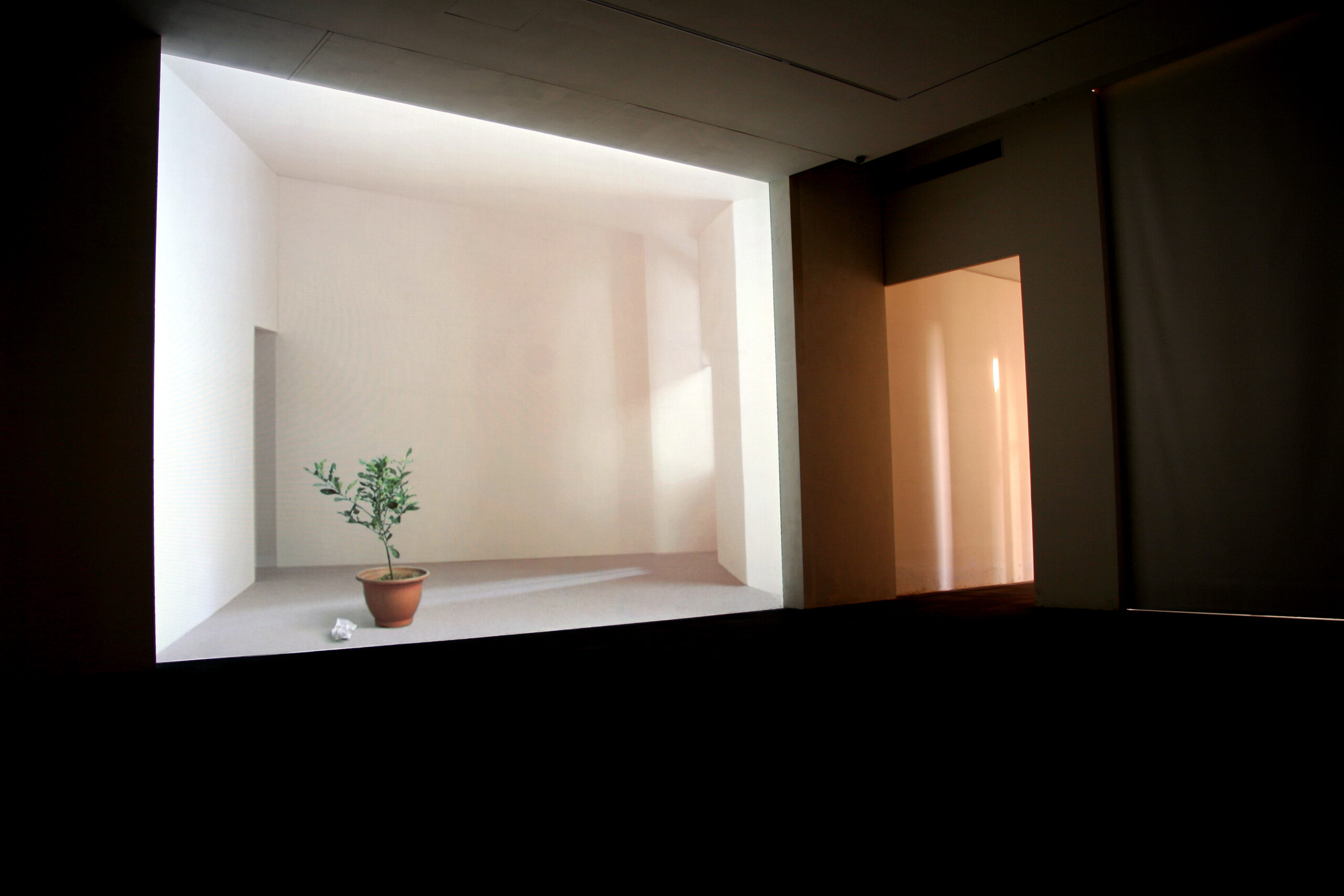 c-20_王雅慧_月下的靜物_2005-02